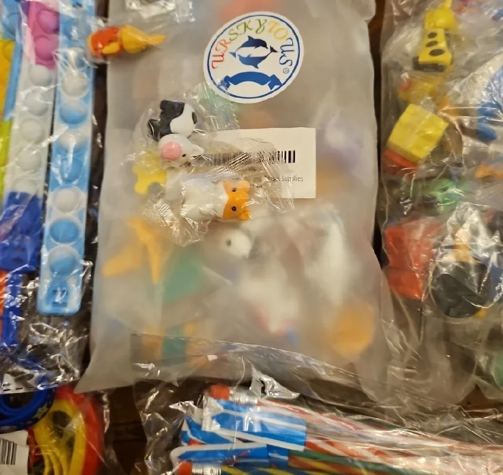 Party Favors, Teacher's Classroom Treasure-Box Bundle - Mixed Assortment